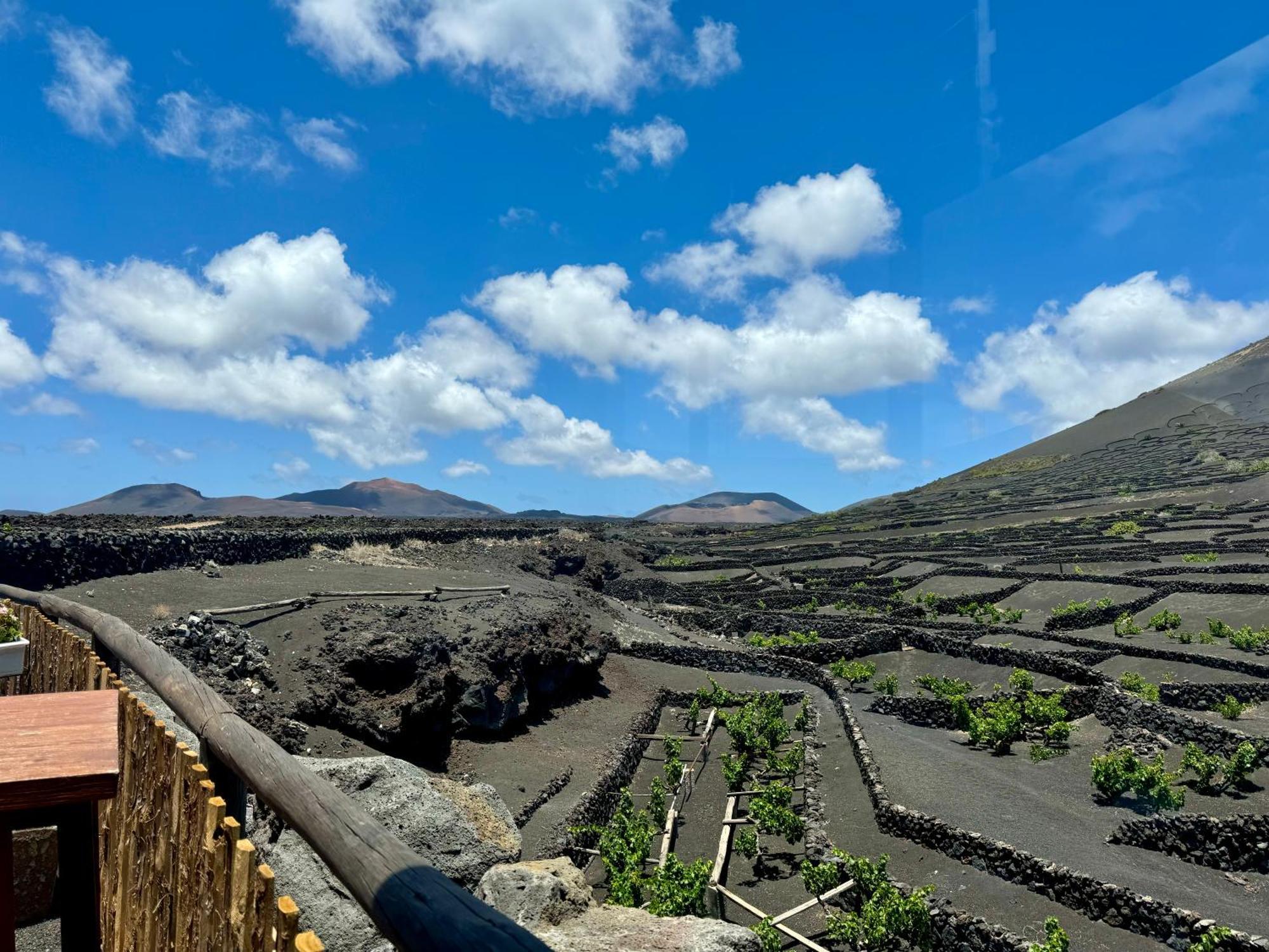 Casa de Férias Canaryislandshost I Vinedos Uga